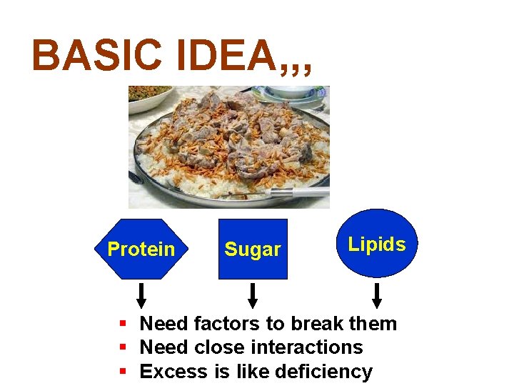 BASIC IDEA, , , Protein Sugar Lipids § Need factors to break them §