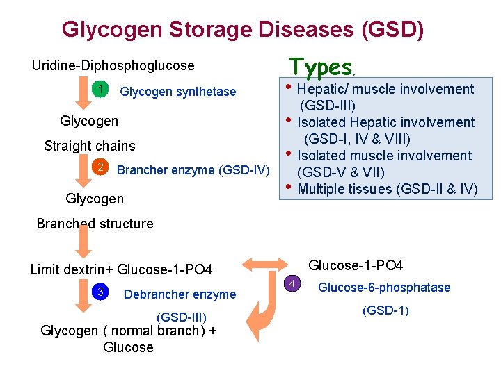 Glycogen Storage Diseases (GSD) Uridine-Diphosphoglucose 1 Glycogen synthetase Types, • Hepatic/ muscle involvement Glycogen