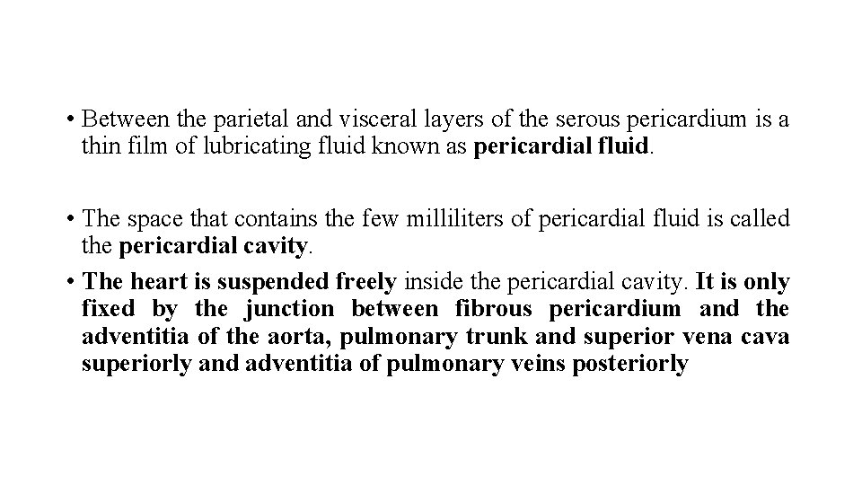  • Between the parietal and visceral layers of the serous pericardium is a