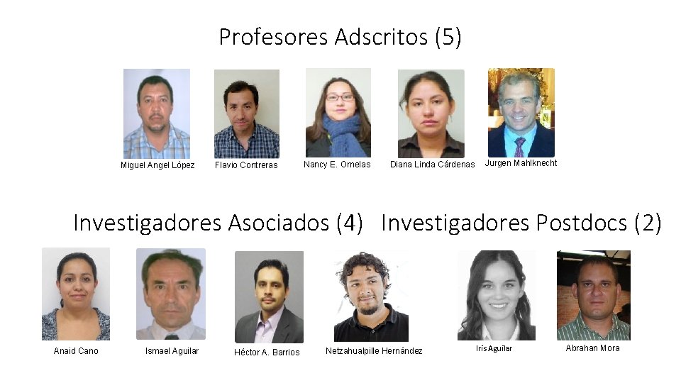 Profesores Adscritos (5) Miguel Angel López Flavio Contreras Nancy E. Ornelas Diana Linda Cárdenas