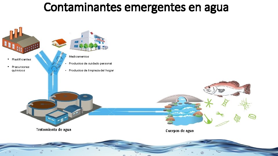 Contaminantes emergentes en agua Laboratorio de Nanotecnología Ambiental Impact of toxic water pollutants •