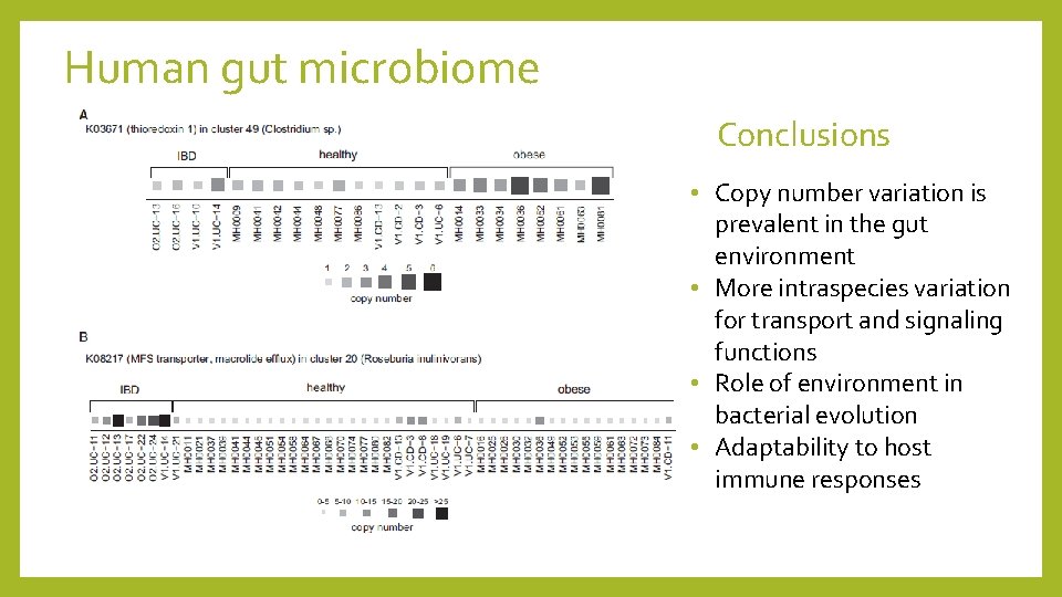 Human gut microbiome Conclusions • Copy number variation is prevalent in the gut environment
