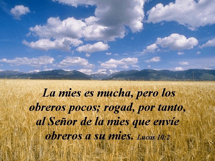 La mies es mucha, pero los obreros pocos; rogad, por tanto, al Señor de