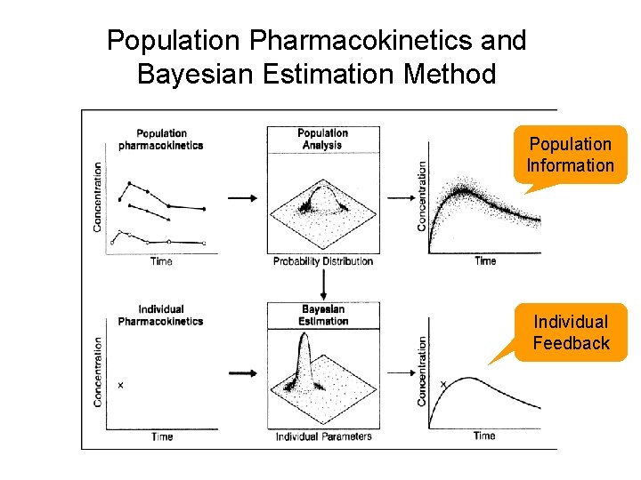 Population Pharmacokinetics and Bayesian Estimation Method Population Information Individual Feedback 10 