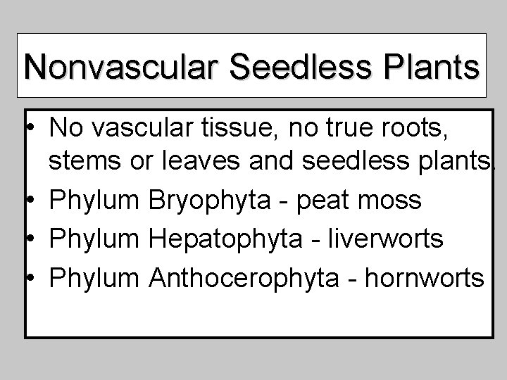Nonvascular Seedless Plants • No vascular tissue, no true roots, stems or leaves and