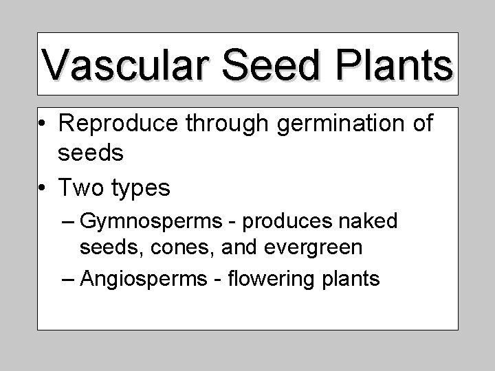 Vascular Seed Plants • Reproduce through germination of seeds • Two types – Gymnosperms