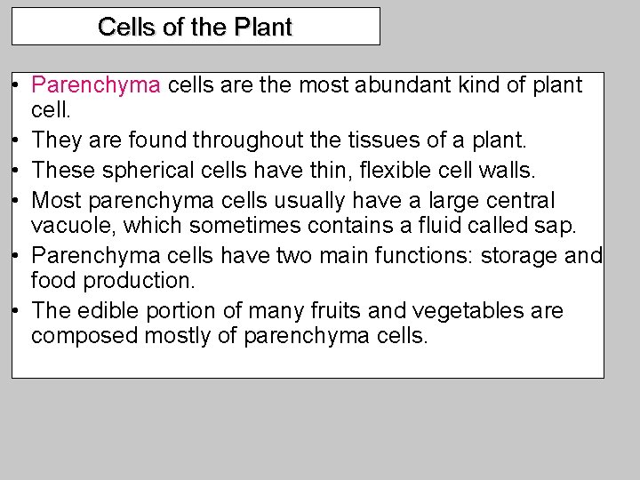 Cells of the Plant • Parenchyma cells are the most abundant kind of plant