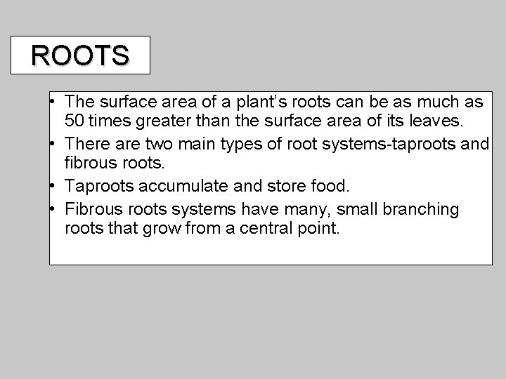 ROOTS • The surface area of a plant’s roots can be as much as