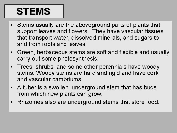 STEMS • Stems usually are the aboveground parts of plants that support leaves and