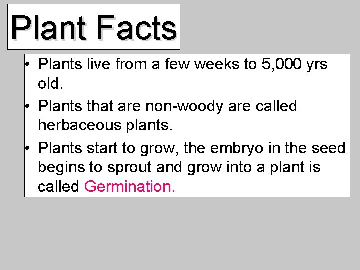 Plant Facts • Plants live from a few weeks to 5, 000 yrs old.