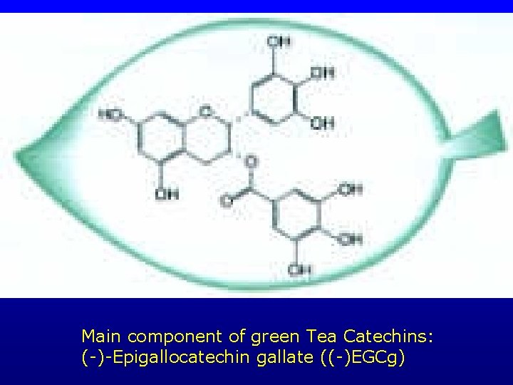 Main component of green Tea Catechins: (-)-Epigallocatechin gallate ((-)EGCg) 