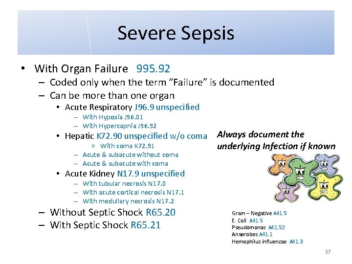 Severe Sepsis • With Organ Failure 995. 92 – Coded only when the term