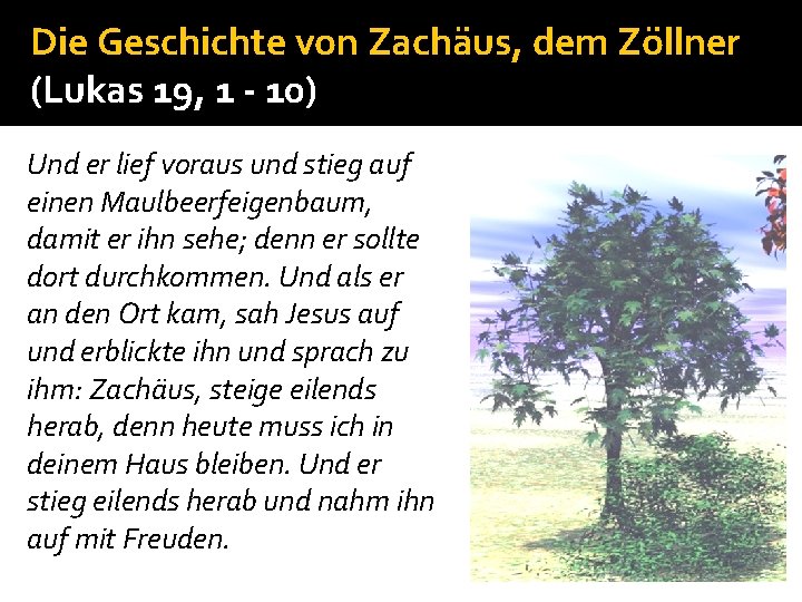 Die Geschichte von Zachäus, dem Zöllner (Lukas 19, 1 - 10) Und er lief