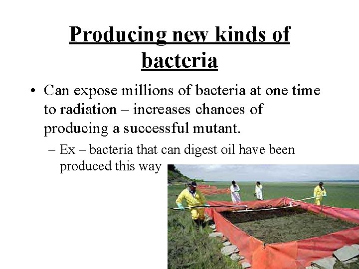 Producing new kinds of bacteria • Can expose millions of bacteria at one time