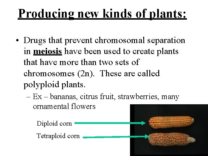 Producing new kinds of plants: • Drugs that prevent chromosomal separation in meiosis have