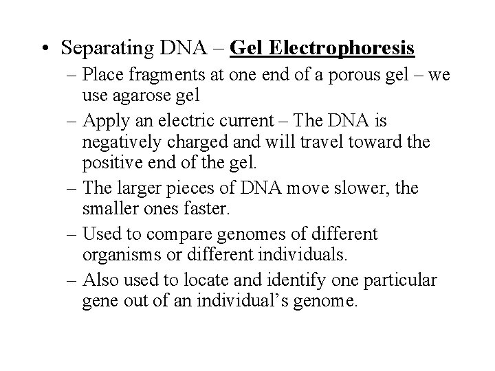  • Separating DNA – Gel Electrophoresis – Place fragments at one end of