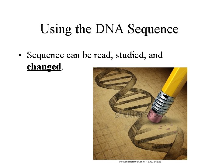 Using the DNA Sequence • Sequence can be read, studied, and changed. 