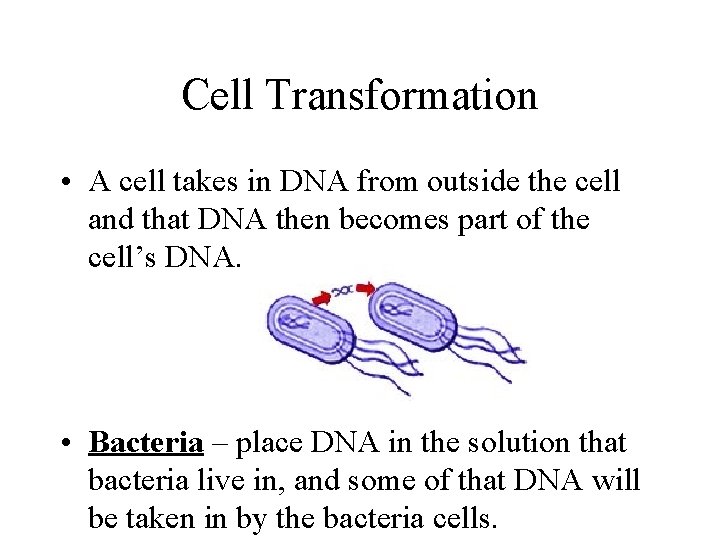 Cell Transformation • A cell takes in DNA from outside the cell and that