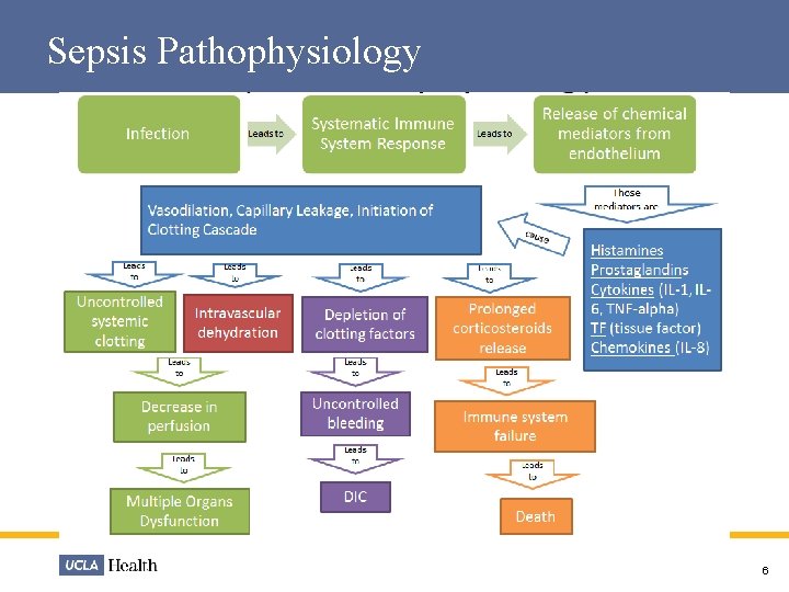 Sepsis Pathophysiology 6 