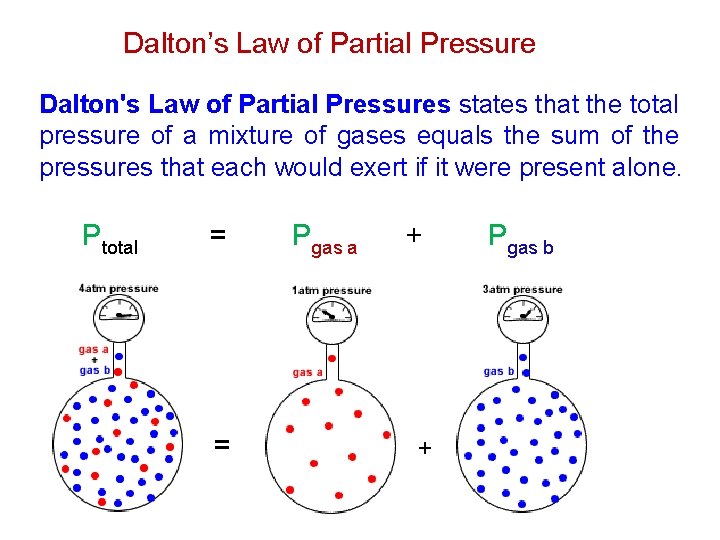 Dalton’s Law of Partial Pressure Dalton's Law of Partial Pressures states that the total