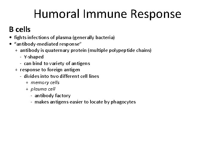 Humoral Immune Response B cells • fights infections of plasma (generally bacteria) • “antibody-mediated