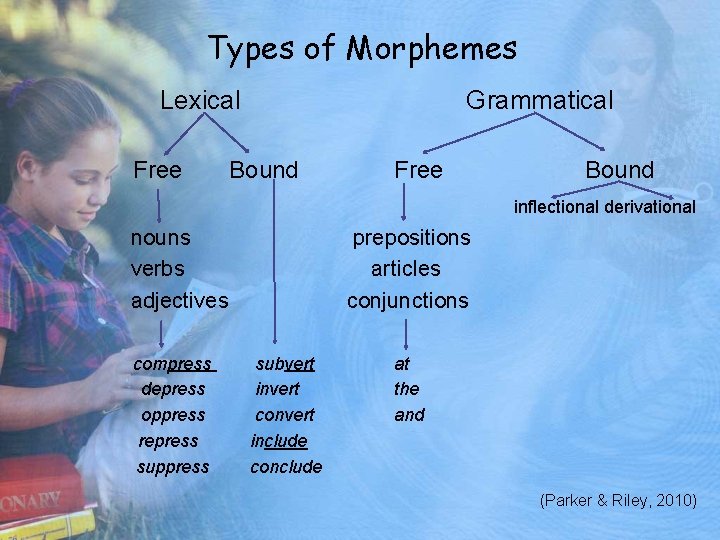 Types of Morphemes Lexical Free Grammatical Bound Free Bound inflectional derivational nouns verbs adjectives