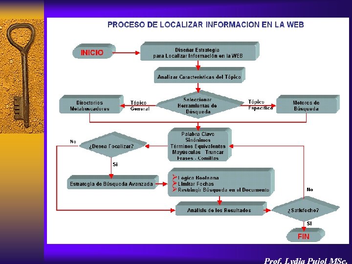 Prof. Lydia Pujol MSc. 