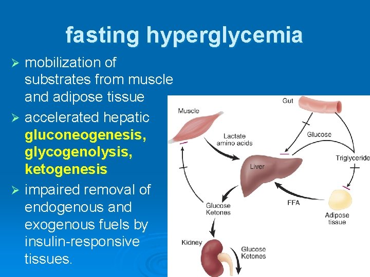 fasting hyperglycemia mobilization of substrates from muscle and adipose tissue Ø accelerated hepatic gluconeogenesis,