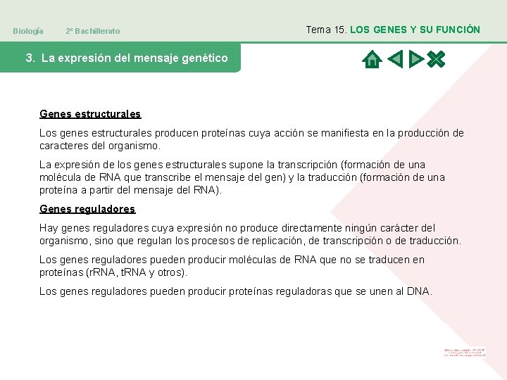 Biología 2º Bachillerato Tema 15. LOS GENES Y SU FUNCIÓN 3. La expresión del