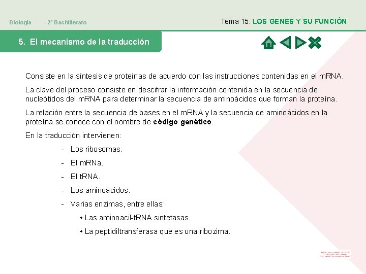 Biología 2º Bachillerato Tema 15. LOS GENES Y SU FUNCIÓN 5. El mecanismo de