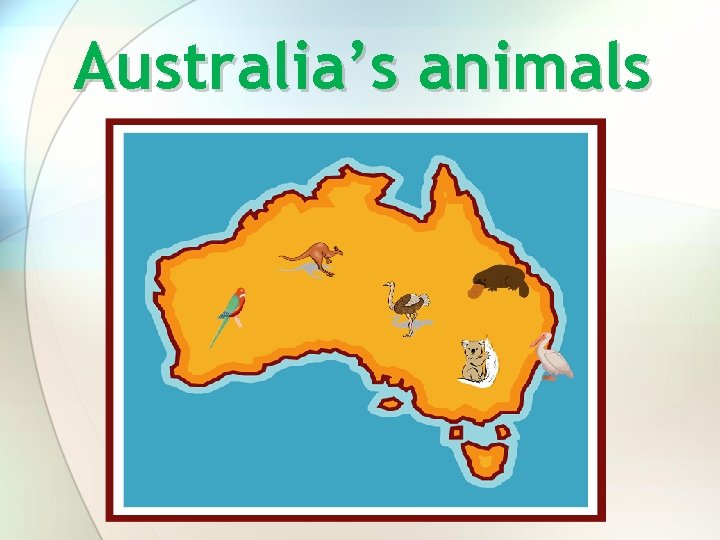 Australia’s animals 