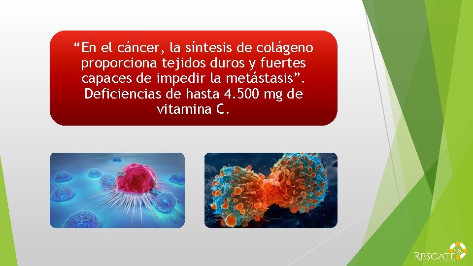 “En el cáncer, la síntesis de colágeno proporciona tejidos duros y fuertes capaces de