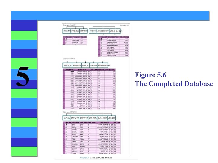 5 Figure 5. 6 The Completed Database 5 Figure 5. 6 The Completed Database