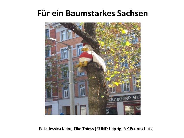 Für ein Baumstarkes Sachsen Ref. : Jessica Keim, Elke Thiess (BUND Leipzig, AK Baumschutz)