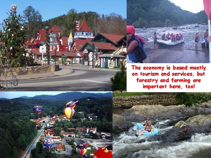 The economy is based mostly on tourism and services, but forestry and farming are