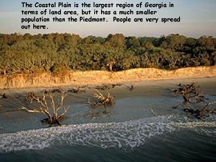 The Coastal Plain is the largest region of Georgia in terms of land area,