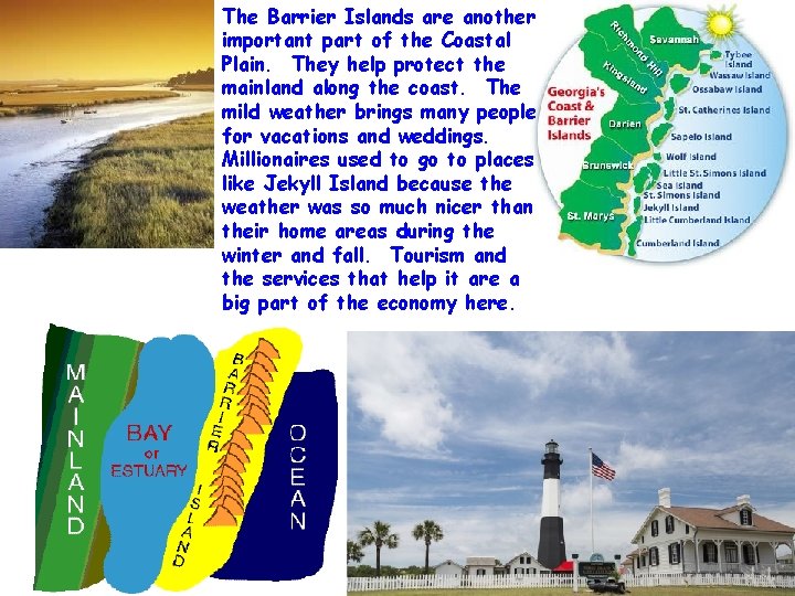 The Barrier Islands are another important part of the Coastal Plain. They help protect