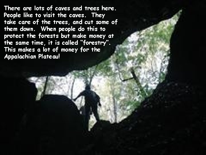 There are lots of caves and trees here. People like to visit the caves.