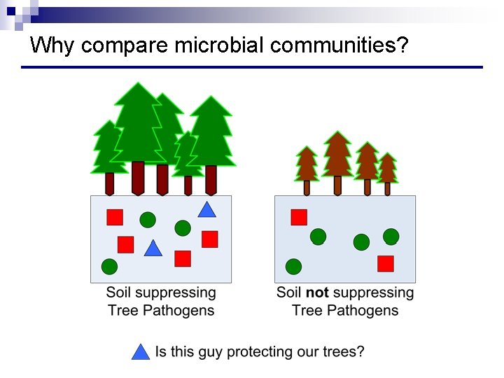 Why compare microbial communities? 