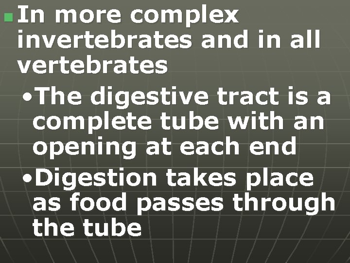 n In more complex invertebrates and in all vertebrates • The digestive tract is