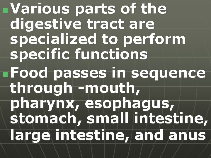 Various parts of the digestive tract are specialized to perform specific functions n Food