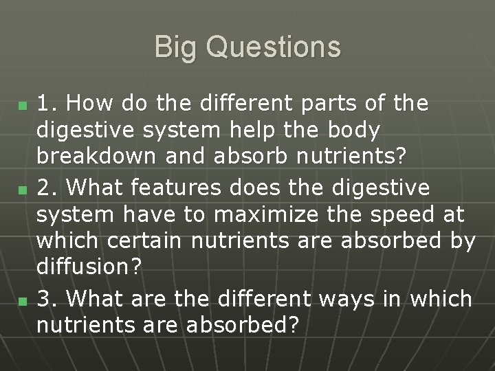 Big Questions n n n 1. How do the different parts of the digestive