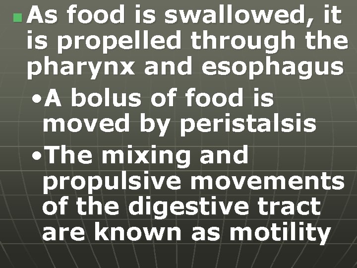 n As food is swallowed, it is propelled through the pharynx and esophagus •