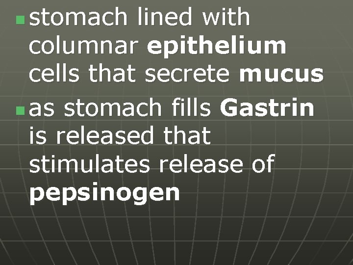 stomach lined with columnar epithelium cells that secrete mucus n as stomach fills Gastrin