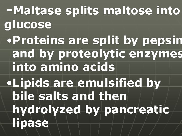 -Maltase splits maltose into glucose • Proteins are split by pepsin and by proteolytic