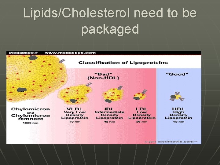 Lipids/Cholesterol need to be packaged 