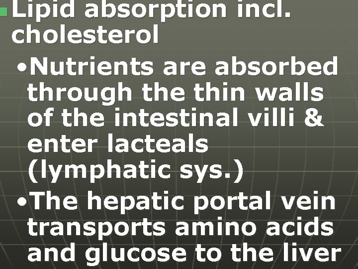n Lipid absorption incl. cholesterol • Nutrients are absorbed through the thin walls of
