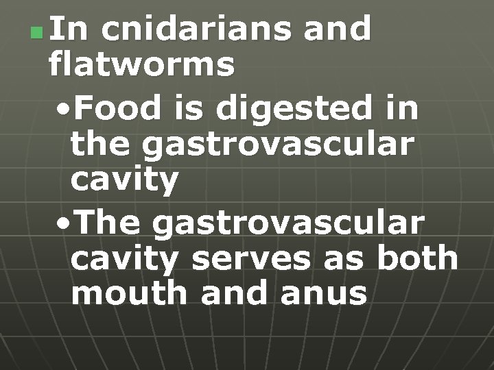 n In cnidarians and flatworms • Food is digested in the gastrovascular cavity •