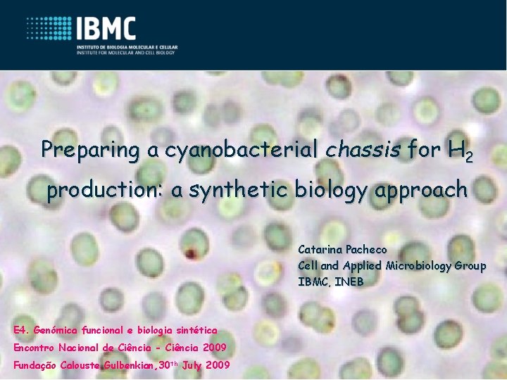 Preparing a cyanobacterial chassis for H 2 production: a synthetic biology approach Catarina Pacheco