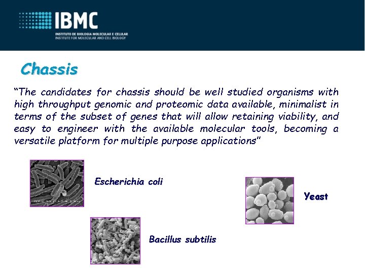Chassis “The candidates for chassis should be well studied organisms with high throughput genomic